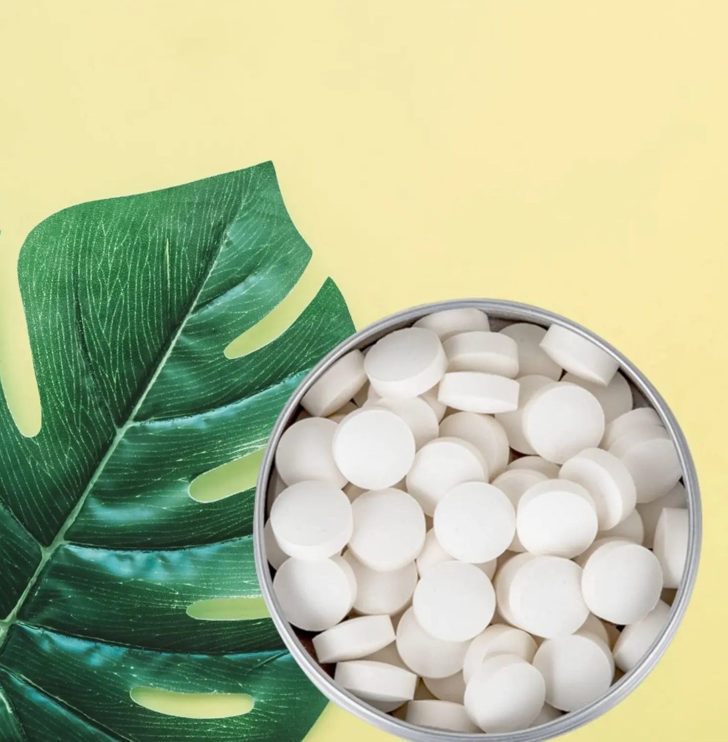 Pastilles de dentifrice à croquer - Sans fluor - FloraPharma