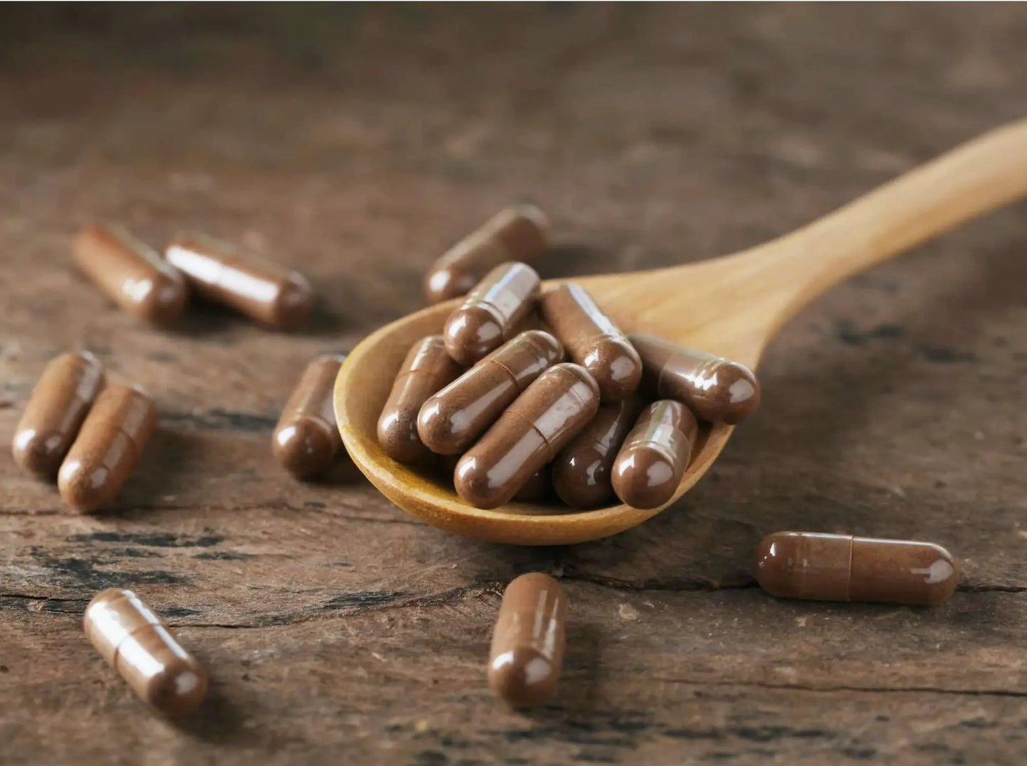 Gélules végétaliennes de Reishi bio - FloraPharma